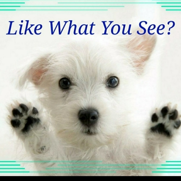 🎉HP🎉🐞VTG🐞 GLAM Faux Fur Coat - Picture 4 of 5